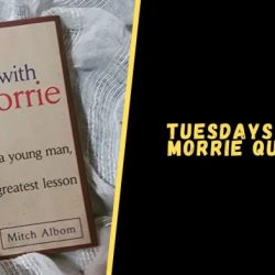 Quotes morrie mitch tuesdays pooh tuxedo winnie tuesday meme albom regret imgflip quotesgram book choose board