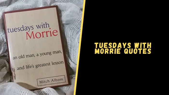 Quotes morrie mitch tuesdays pooh tuxedo winnie tuesday meme albom regret imgflip quotesgram book choose board