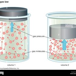 Student exploration: ideal gas law