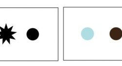 Weight visual composition photography understand use assessing within