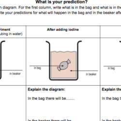 Diffusion through a membrane lab pdf answer key